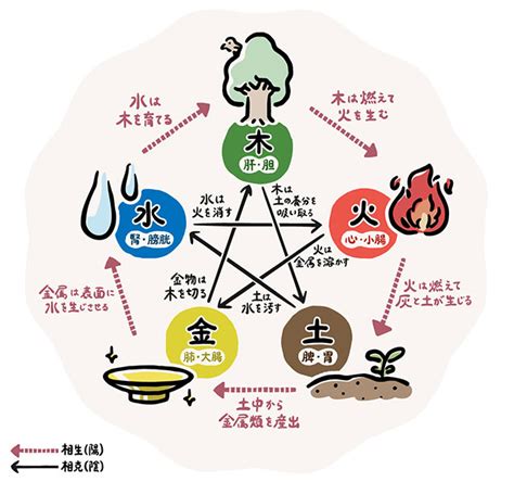 五行色体表とは|漢方の基礎知識2「五行とは」｜Kampoful Life by ク 